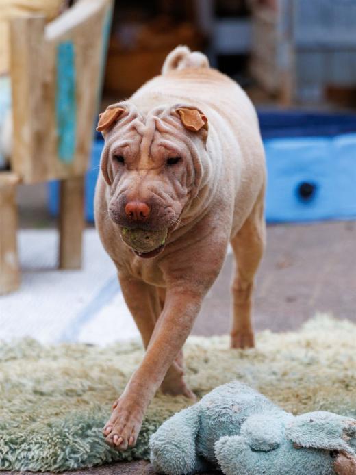 2024-06-23-17-14-44-EOS R7-6851