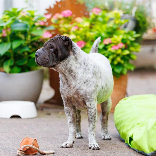 2024-06-23-20-02-16-EOS R6m2-4839