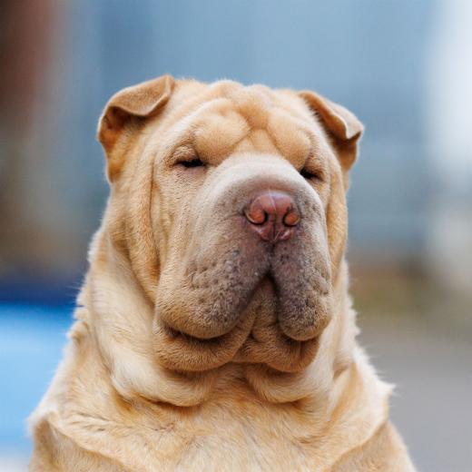 2024-06-23-20-05-03-EOS R6m2-4844