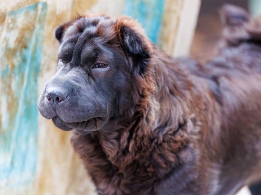 2024-06-23-20-13-18-EOS R6m2-4884-Verbessert-RR