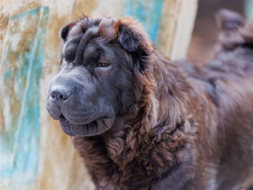 2024-06-23-20-13-18-EOS R6m2-4885-Verbessert-RR