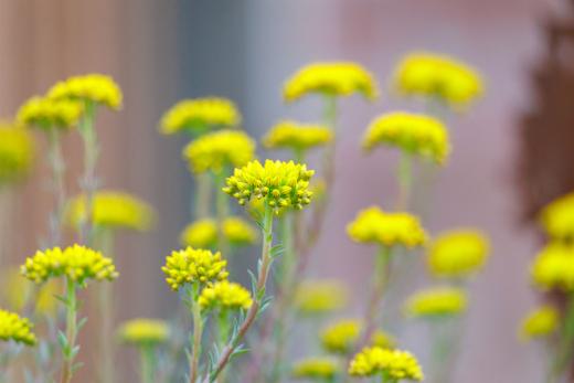 2024-06-23-20-20-23-EOS R6m2-4900