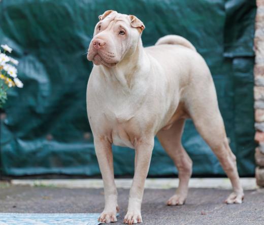 2024-06-23-20-31-57-EOS R6m2-4922-Verbessert-RR