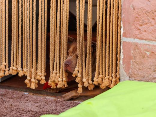 2024-06-28-17-51-34-EOS R6m2-1285