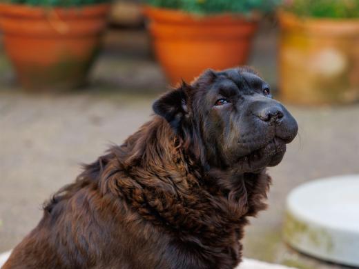 2024-06-28-17-52-55-EOS R6m2-1287