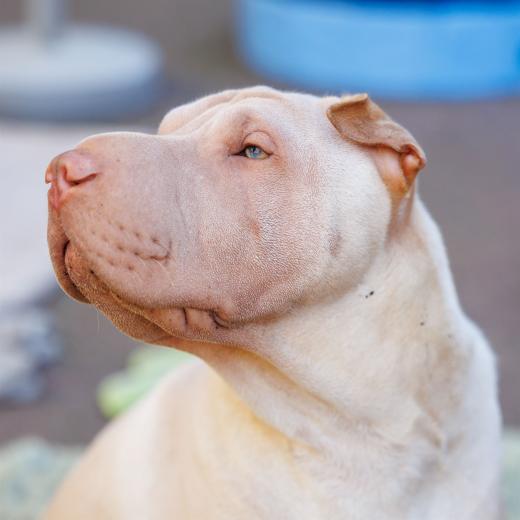 2024-06-28-17-54-15-EOS R6m2-1295