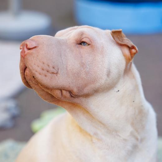 2024-06-28-17-54-15-EOS R6m2-1296