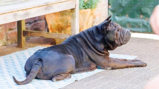 2024-06-28-18-10-33-EOS R6m2-4924