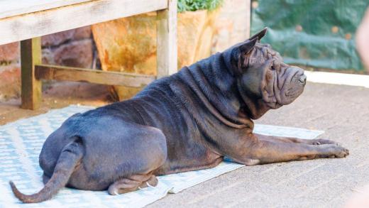 2024-06-28-18-10-38-EOS R6m2-4928