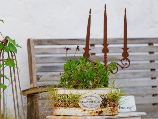 2024-06-28-18-13-28-EOS R6m2-4930