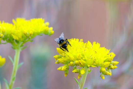 2024-06-28-18-27-23-EOS R6m2-4967-Verbessert-RR