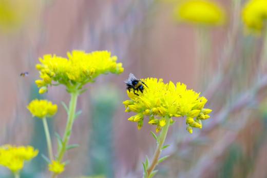 2024-06-28-18-27-24-EOS R6m2-4971-Verbessert-RR