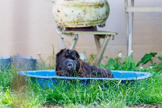 2024-06-28-18-28-23-EOS R6m2-4980-Verbessert-RR