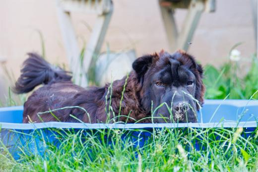 2024-06-28-18-28-57-EOS R6m2-4985-Verbessert-RR