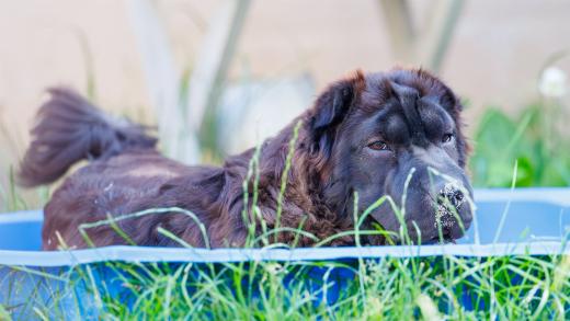 2024-06-28-18-29-14-EOS R6m2-5006-Verbessert-RR