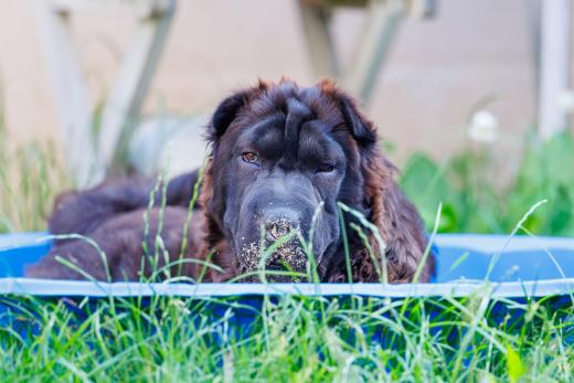 2024-06-28-18-32-29-EOS R6m2-5020-Verbessert-RR