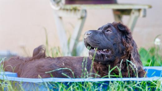 2024-06-28-18-33-11-EOS R6m2-5066