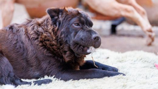 2024-06-28-18-41-42-EOS R6m2-5083