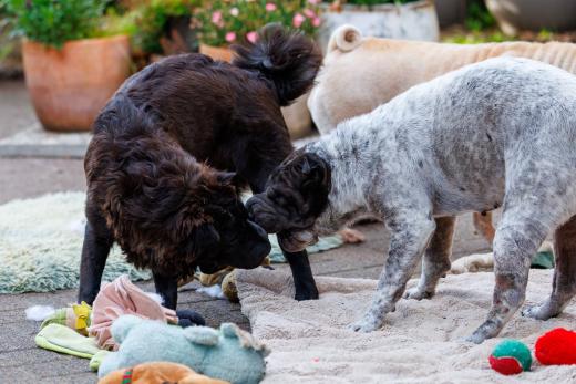 2024-06-28-18-43-44-EOS R6m2-5116