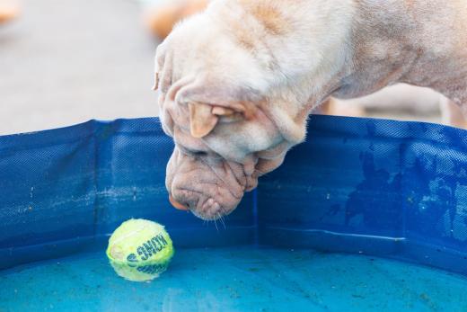 2024-06-28-18-46-51-EOS R6m2-5128