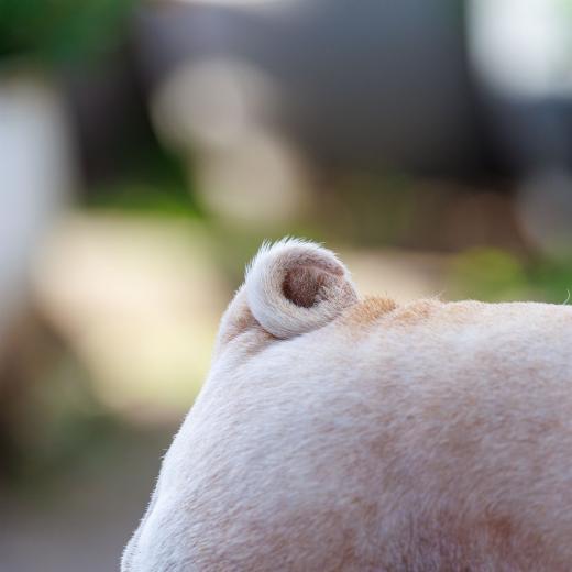 2024-06-28-18-52-27-EOS R6m2-5150