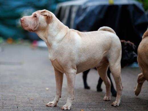 2024-07-03-20-55-24-EOS R6m2-1353-Verbessert-RR