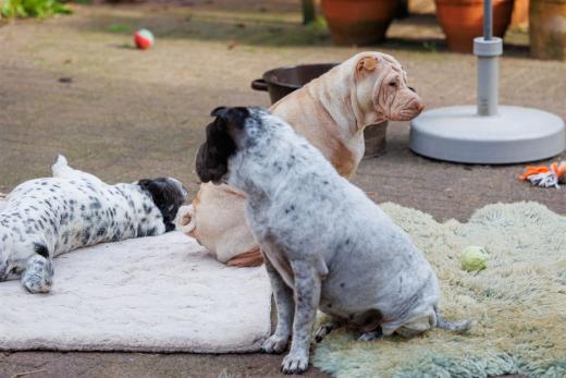 2024-10-06-16-09-44-EOS R6m2-1601_2048px