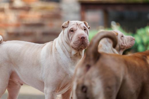 2024-10-06-16-10-20-EOS R6m2-5349_2048px