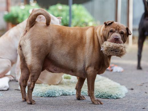 2024-10-06-16-10-27-EOS R6m2-5352_2048px