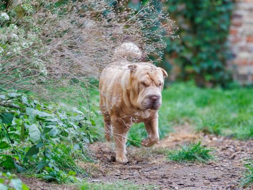 2024-10-06-16-12-20-EOS R6m2-5358_2048px