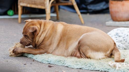 2024-10-06-16-13-29-EOS R6m2-5365_2048px