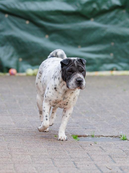 2024-10-06-16-13-40-EOS R6m2-5366_2048px