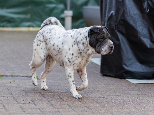 2024-10-06-16-13-40-EOS R6m2-5368_2048px