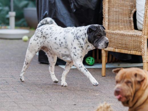 2024-10-06-16-13-41-EOS R6m2-5369_2048px