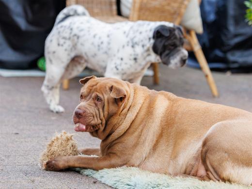 2024-10-06-16-13-41-EOS R6m2-5370_2048px