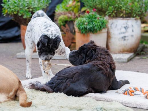 2024-10-06-16-14-26-EOS R6m2-5373_2048px