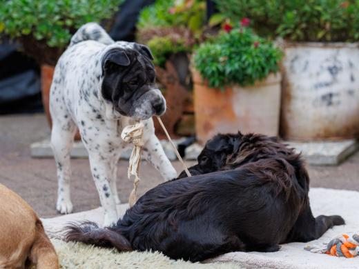 2024-10-06-16-14-28-EOS R6m2-5376_2048px