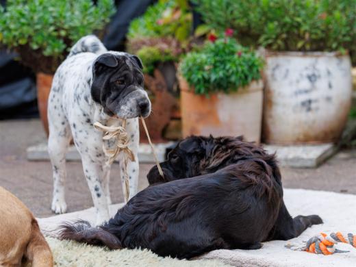 2024-10-06-16-14-28-EOS R6m2-5377_2048px