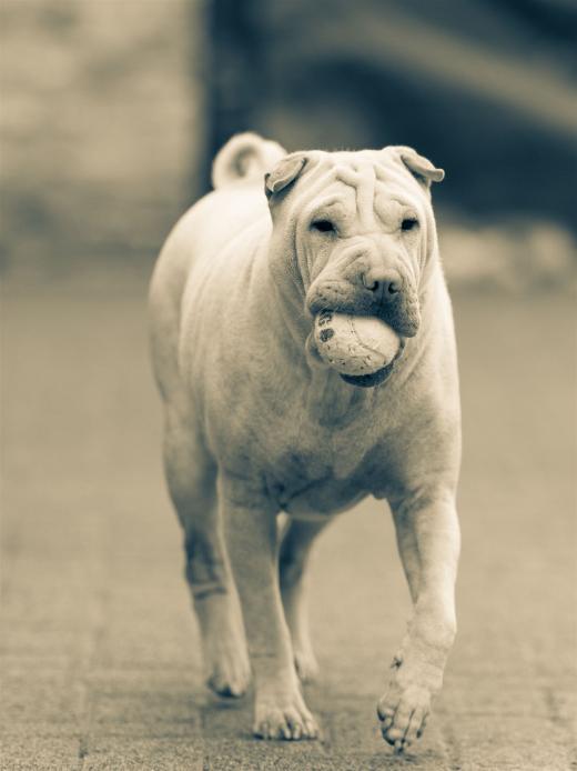 2024-10-06-16-16-44-EOS R6m2-5393_2048px-2