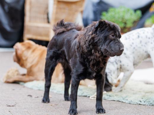 2024-10-06-16-17-08-EOS R6m2-5395_2048px