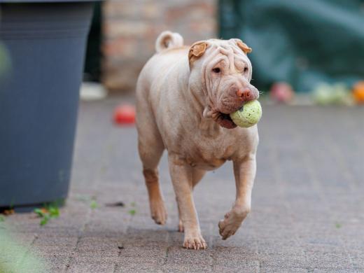 2024-10-06-16-17-47-EOS R6m2-5398_2048px