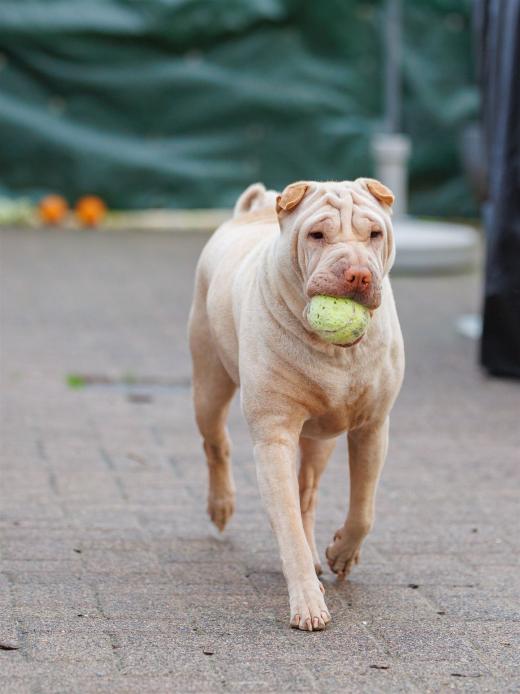 2024-10-06-16-18-10-EOS R6m2-5402_2048px