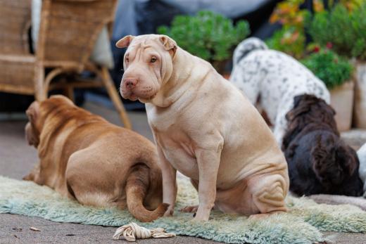 2024-10-06-16-20-50-EOS R6m2-5407_2048px