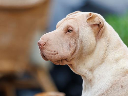 2024-10-06-16-20-58-EOS R6m2-5408_2048px