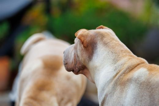 2024-10-06-16-21-11-EOS R6m2-5409_2048px