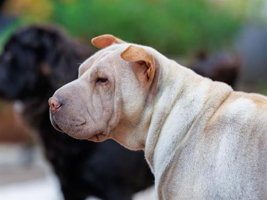 2024-10-06-16-21-18-EOS R6m2-5415_2048px