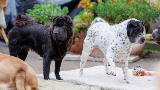 2024-10-06-16-23-05-EOS R6m2-5424_2048px