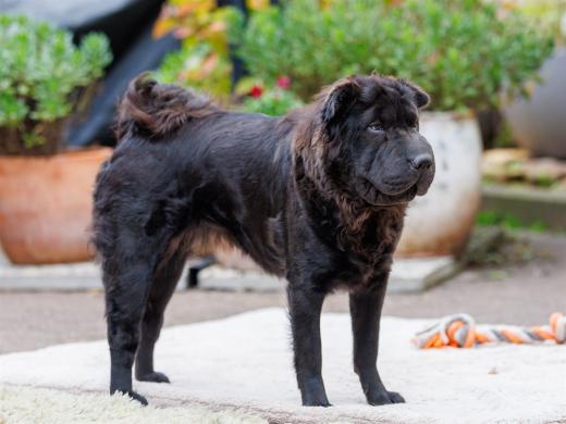 2024-10-06-16-23-17-EOS R6m2-5430_2048px