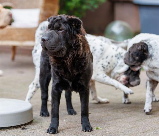 2024-10-06-16-23-46-EOS R6m2-5434_2048px