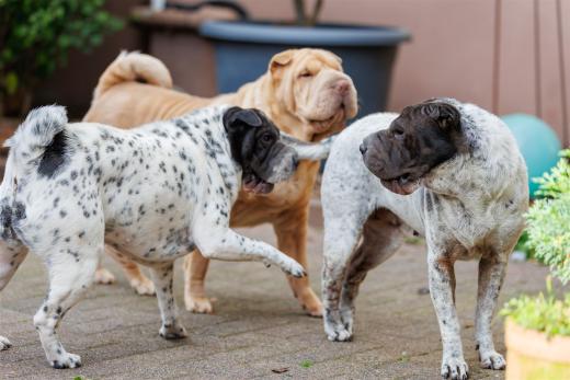 2024-10-06-16-24-24-EOS R6m2-5436_2048px